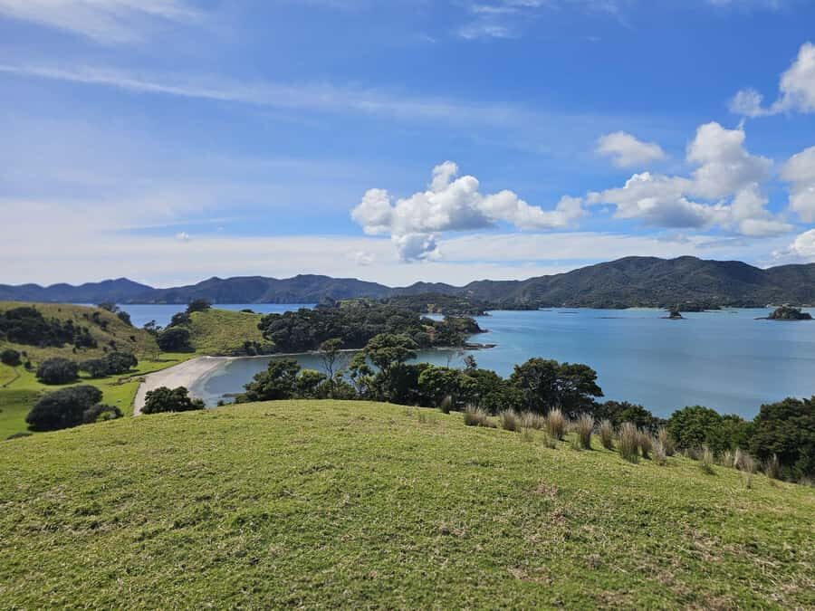 Auckland: 2-Day Bay of Islands Small Group Tour with Cruise - Returning to Auckland with Local Stops and Photo Moments