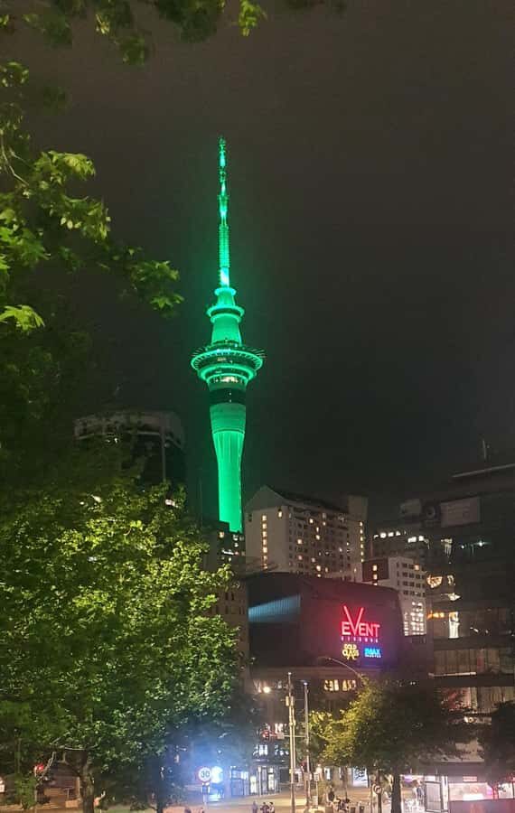 Auckland: Auckland City Tour 4 hours private - Key things to know before you go