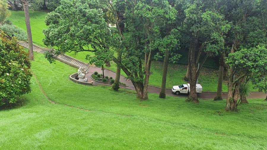 Auckland: Auckland City Tour 4 hours private - A 4-hour private loop with easy CBD pickup