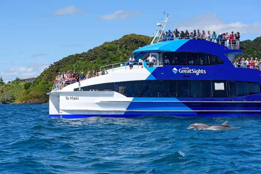 Auckland: Bay of Islands Day Tour with Dolphin Cruise - Who should book this Bay of Islands dolphin cruise tour