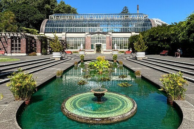 Auckland Best Top 5 Spots Half day Tour - Domain Winter Garden: glasshouses that feel like a reset button