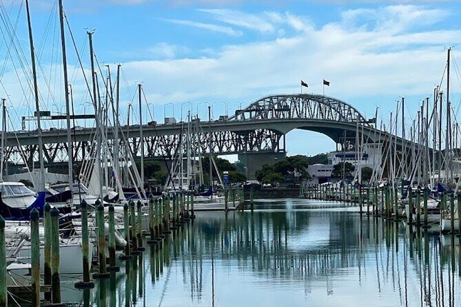 Auckland Best Top 5 Spots Half day Tour - Guides who make the pace feel easy (and help with photos)