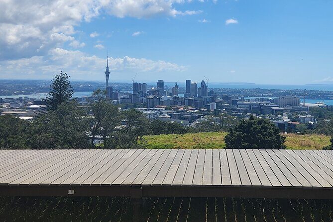 Auckland Best Top 5 Spots Half day Tour - Pickup logistics: the real value of an included car