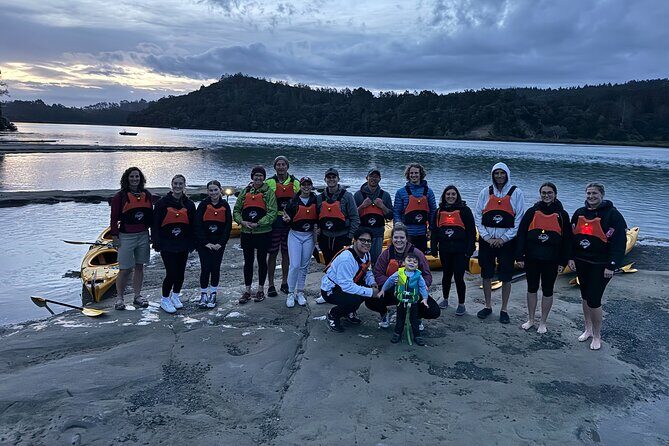 Auckland Bioluminescence Kayak Tour - What you’ll actually see: glowing plankton, and sometimes fish lights too