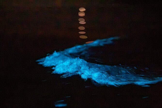 Auckland Bioluminescence Kayak Tour - Photo tips for blue water without making it complicated