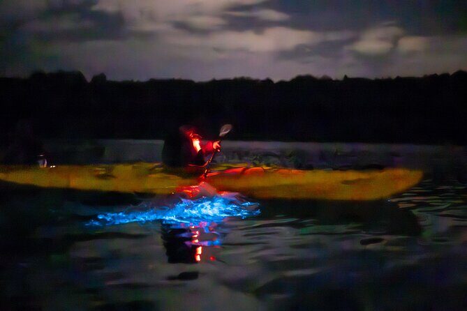 Auckland Bioluminescence Kayak Tour - Transportation and timing: planning your night in Auckland