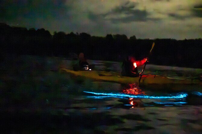 Auckland Bioluminescence Kayak Tour - Who should book this and who might hesitate