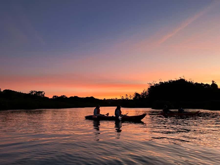 Auckland: Bioluminescence Kayak Tour with Guide - What Makes This Auckland Night Kayak Tour Worth Your Time