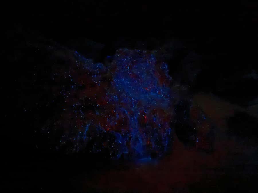 Auckland: Bioluminescence Kayak Tour with Guide - The 2-Hour Pacing: How the Night Paddle Actually Plays Out
