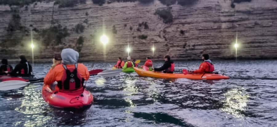 Auckland: Bioluminescence Kayak Tour with Guide - Group Size and Guide Support: What the 1–6 Ratio Means to You