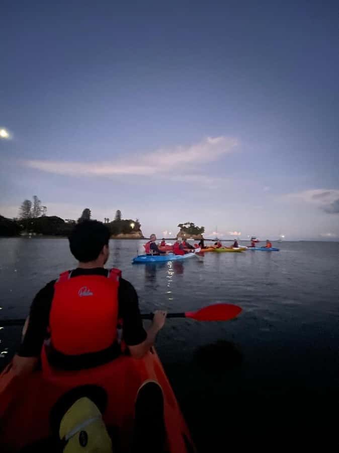 Auckland: Bioluminescence Kayak Tour with Guide - Who Should Book This Kayak Tour (and Who Might Want a Different Plan)