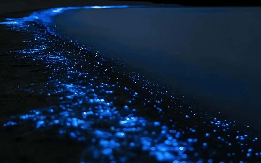 Auckland: Bioluminescence Kayak Tour with Guide - Gear, Clothing, and Your Cold-Weather Reality Check