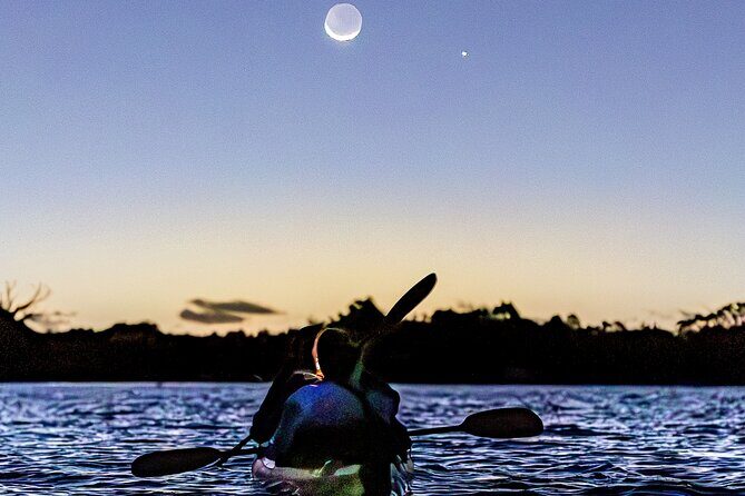 Auckland Bioluminescence Kayak Tour - Safety and confidence: life jacket, calm briefing, small-group control