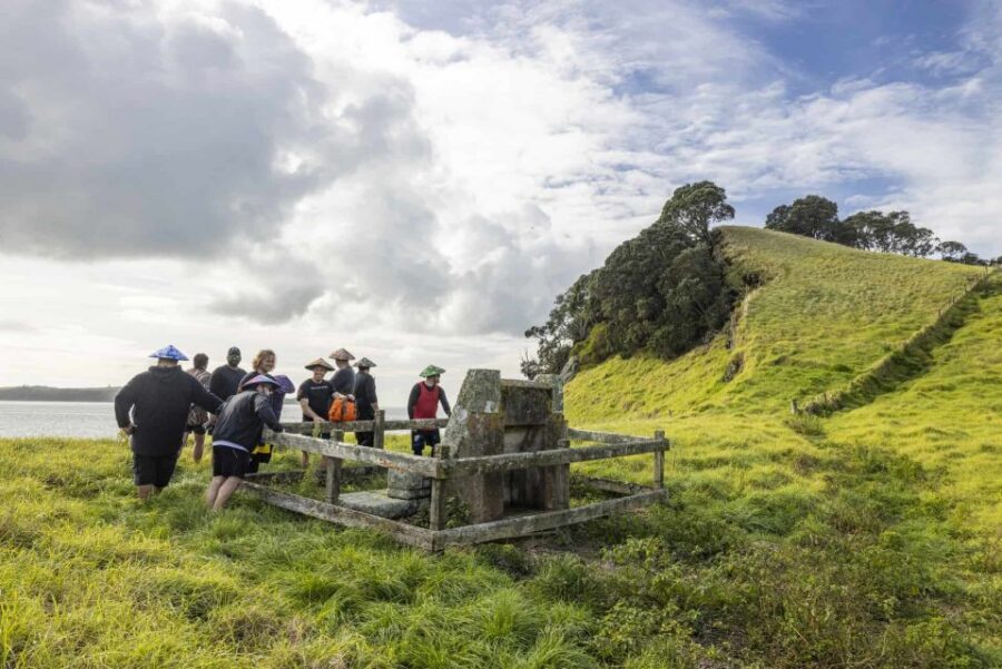 Auckland: Browns Island (Motukorea) Sea Kayak Tour - Reaching Browns Island (Motukorea): A Dormant Volcano, an Uninhabited Escape