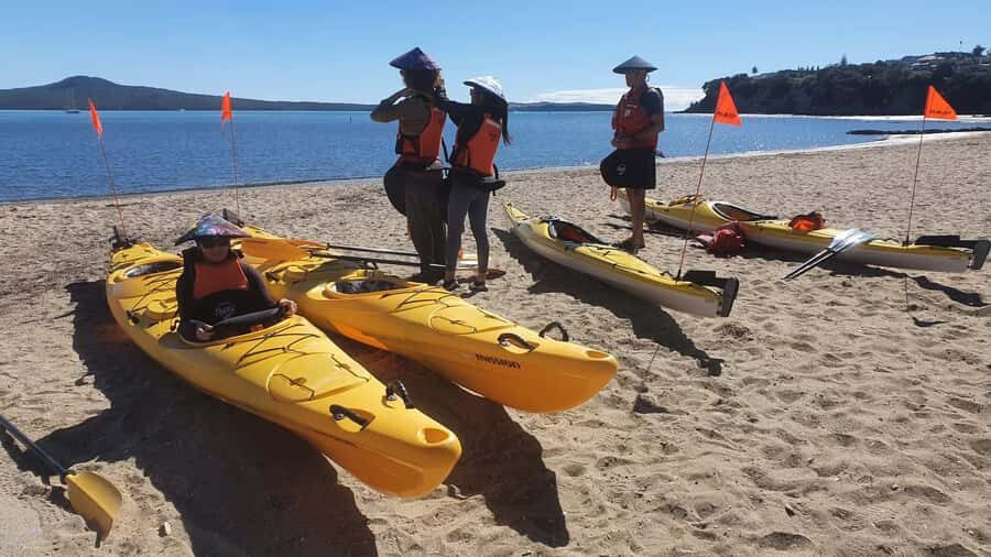 Auckland: Browns Island (Motukorea) Sea Kayak Tour - The Short Island Walk: What “Hiking” Means Here