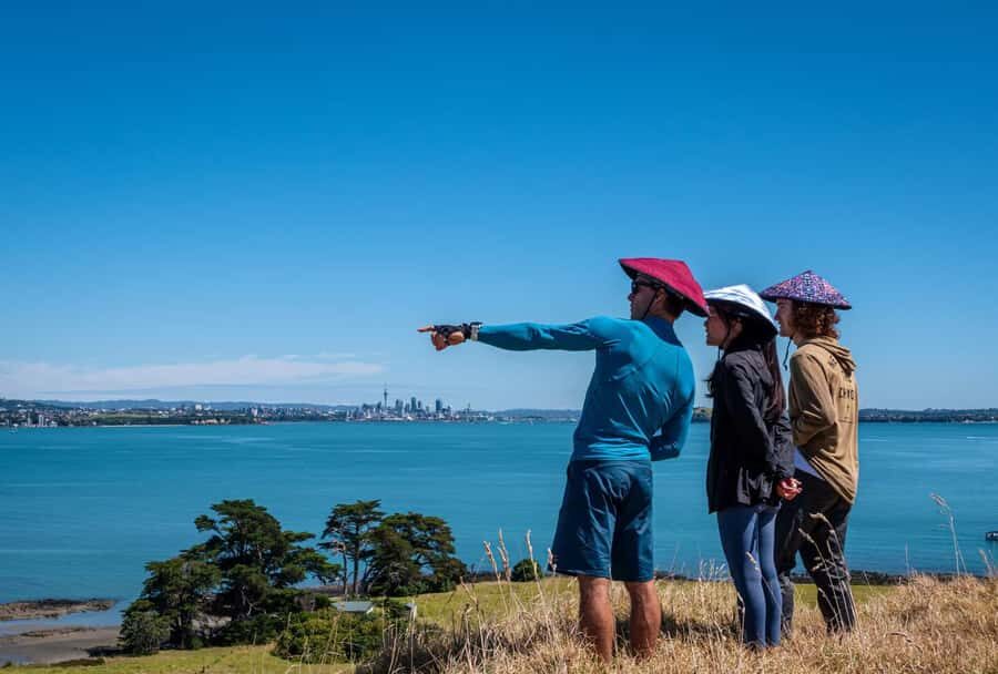 Auckland: Browns Island (Motukorea) Sea Kayak Tour - Wildlife and Birds: How to Spot Them Without Disrupting Them