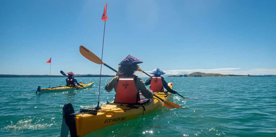 Auckland: Browns Island (Motukorea) Sea Kayak Tour - St Heliers Beach: Safety Briefing and Finding Your Sea-Kayak Rhythm