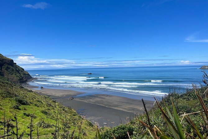 Auckland City and West Coast Black Sand Beach Full Day Tour - Private West Coast Transport: Auckland to Black-Sand Country