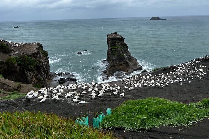 Auckland City and West Coast Black Sand Beach Full Day Tour - Mount Eden and Bastion Point: Start High, See the Whole City