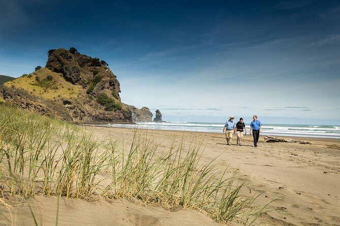 Auckland City and West Coast Full Day Tour - Why This Auckland and Piha Day Trip Works Without a Rental Car