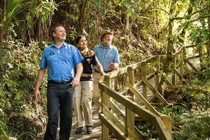 Auckland City and West Coast Full Day Tour - Titirangi to Waitakere Ranges: When the Air Changes