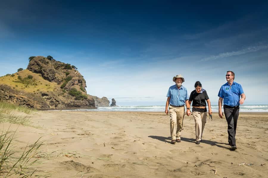 Auckland City and West Coast Luxury Tour - Key highlights worth planning around