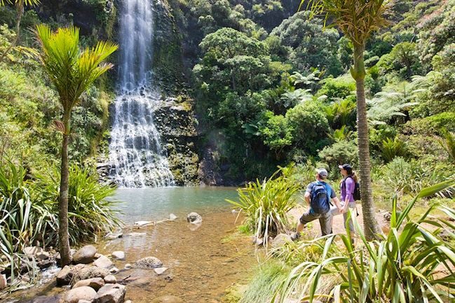 Auckland City and West Coast Luxury Tour - The practical stuff: timing, group size, and what to pack
