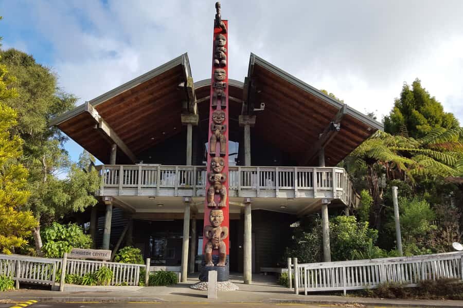 Auckland City, Beaches & Rainforest Premium Small Group Tour - Who should book this, and who should skip it