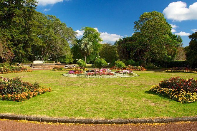 Auckland City Discovery Experience - Private Tour From Auckland - Bastion Point Skyline Views and Parnell’s Garden Pause
