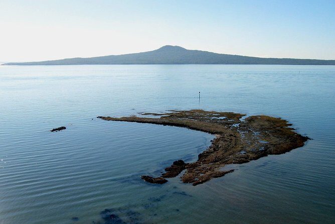 Auckland City Discovery Experience - Private Tour From Auckland - Harbour Bridge and Westhaven Marina: The Waterfront Hits First