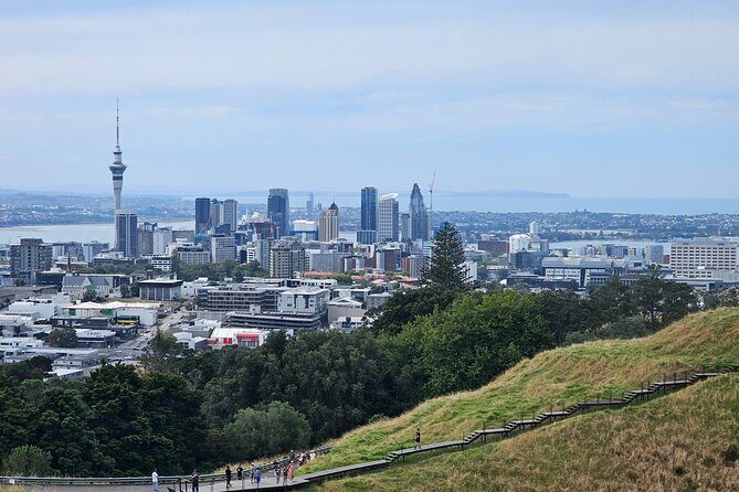 Auckland City Halfday Guide Tour - Key Highlights You’ll Care About