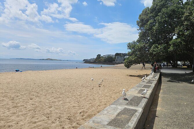 Auckland City Halfday Guide Tour - Michael Joseph Savage Memorial Park: Bastion Point’s Big View Window
