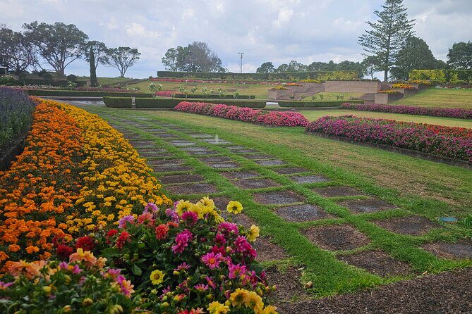Auckland City Halfday Guide Tour - Parnell Rose Gardens and the Story Behind the Name