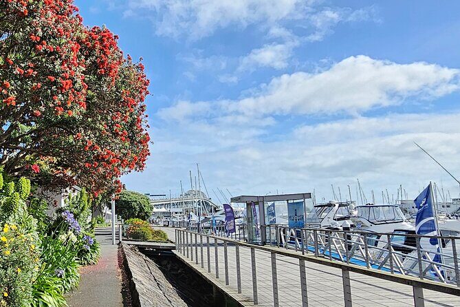 Auckland City Halfday Guide Tour - Westhaven Marina: Harbour Bridge Views Without the Crowds