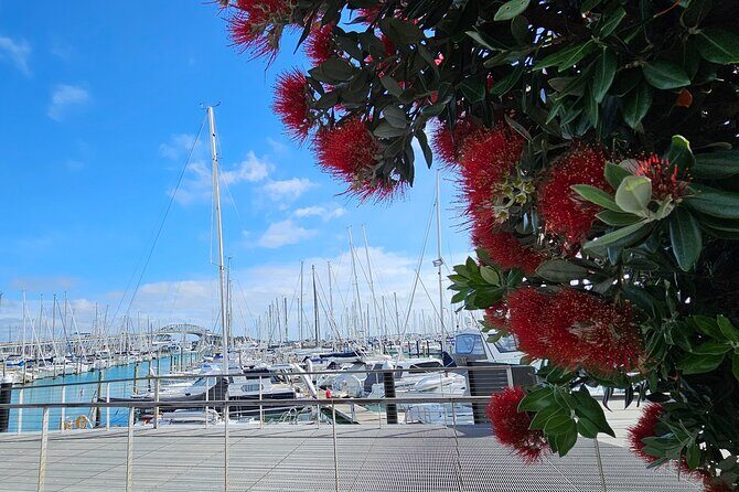 Auckland City Halfday Private Tour - Auckland Harbour Bridge and Westhaven Marina for big first views