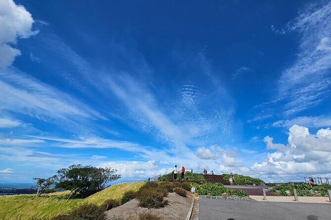 Auckland City Halfday Private Tour - Price and value at $130.32 per person