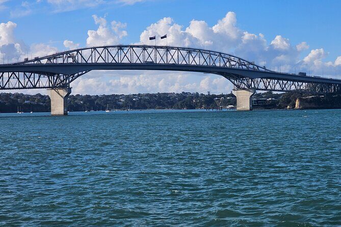 Auckland City Halfday Tour - Westhaven Marina: Yacht Country and a Waterfront Promenade