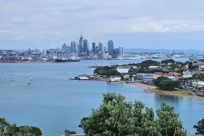 Auckland City Halfday Tour - Who Should Book This Half-Day Tour