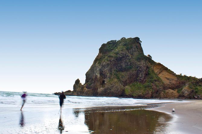 Auckland City Highlights, Afternoon Piha Beach & Rainforest Tour - Meeting Point, Pickup, and Getting Oriented Fast