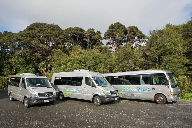 Auckland City Highlights, Afternoon Piha Beach & Rainforest Tour - Auckland Museum Area, Parnell, and the Slow Build of a Real Day