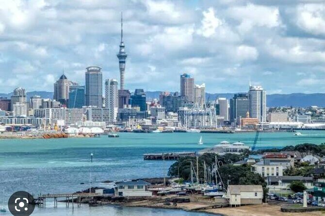 Auckland City Highlights Full Day Tour - Winter Garden at Auckland Domain: an easy indoor reset