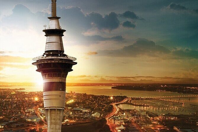 Auckland City Highlights Private Tour - Key points before you go