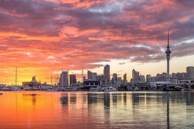 Auckland City Highlights Private Tour - Mount Victoria Reserve: 360-degree views and the rare Disappearing Gun