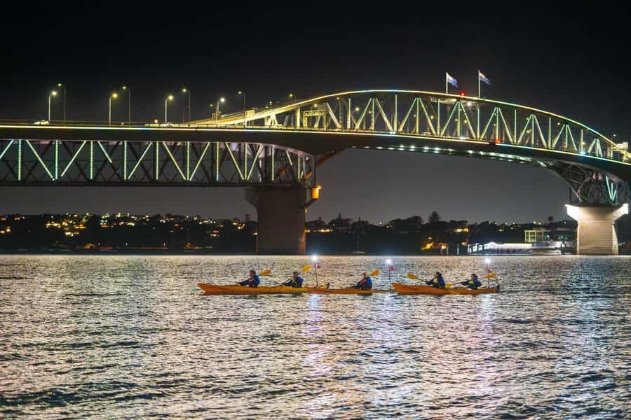 Auckland: City Lights Night Kayak Tour - Key points to know before you go
