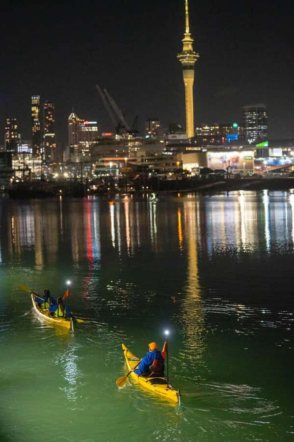 Auckland: City Lights Night Kayak Tour - Why Auckland’s Waitematā Harbour at Night Works So Well