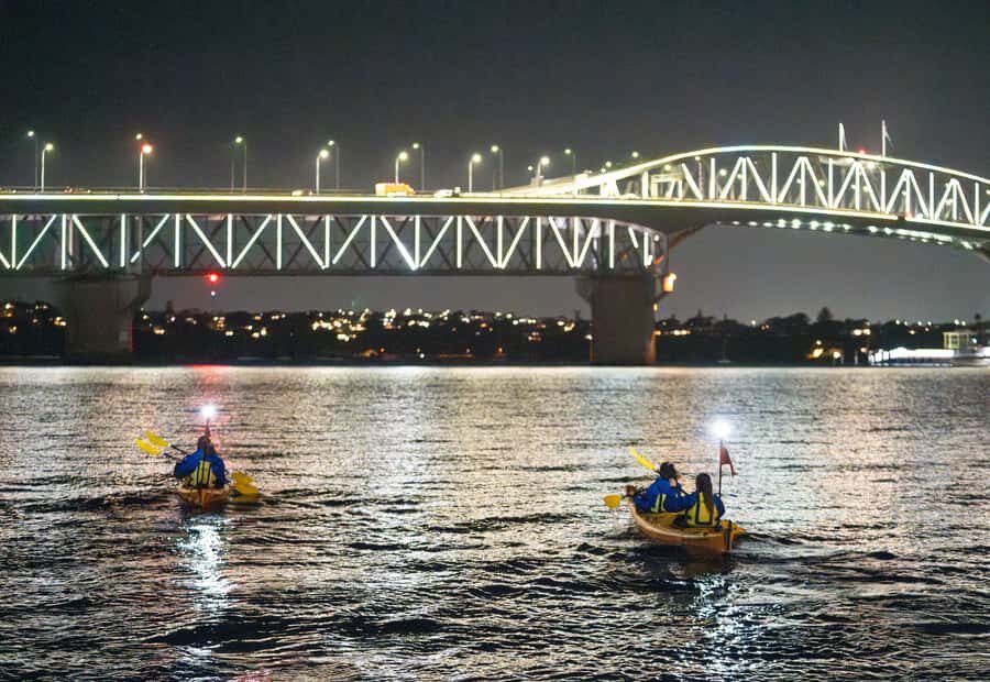 Auckland: City Lights Night Kayak Tour - Z Pier Launch: Setup Time, Photo Opportunities, and What 2 Hours Feels Like