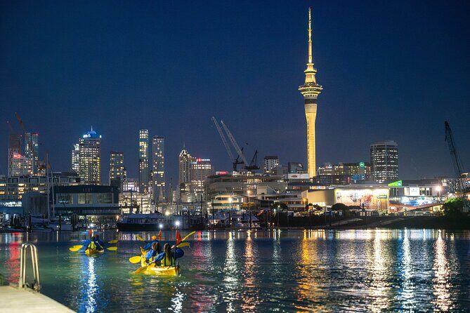 Auckland City Lights Night Kayaking Tour - Key Highlights Worth Knowing