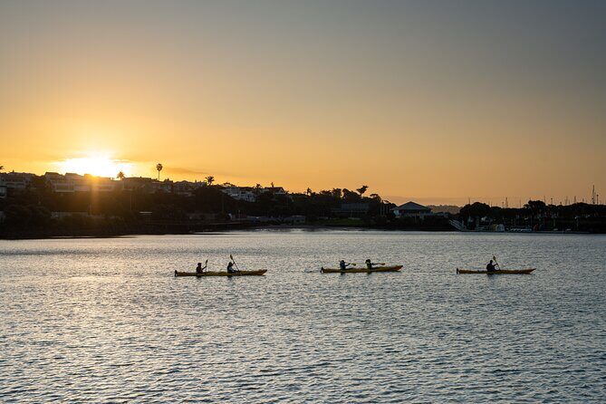 Auckland City Lights Night Kayaking Tour - Westhaven Marina and the “City of Sails” Effect