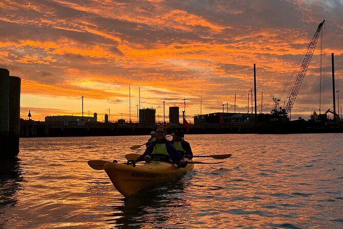 Auckland City Lights Night Kayaking Tour - Guides, Gear, and Snacks: What You’re Really Paying For