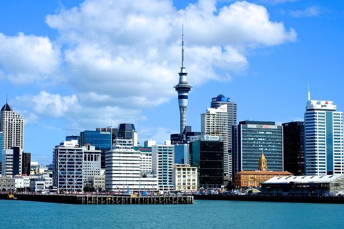 Auckland City & Native Forest Experience - Fully Guided Day Tour - Key things I’d plan around before you go